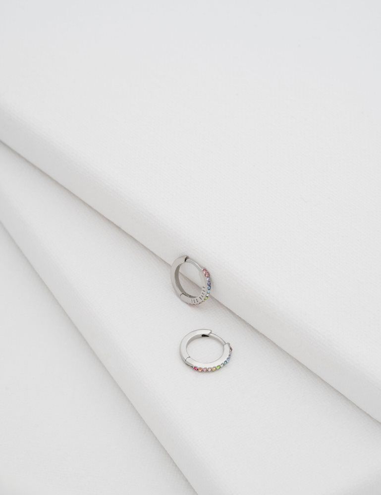 Ted Baker Heplie - Crystal Huggie Hoop Earrings Ženske Nakit Srebrne | 037485-QZP